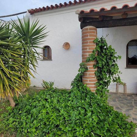 Quinta Da Belavista Vila Reguengos de Monsaraz Exterior foto